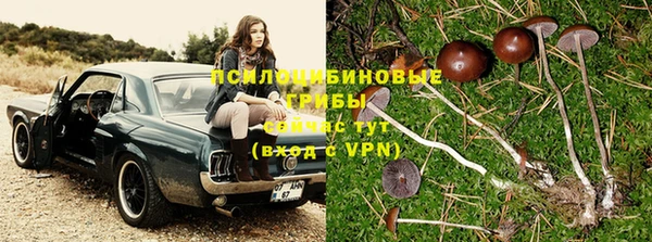 первитин Беломорск