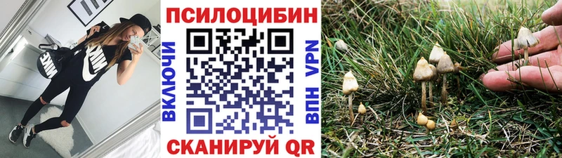 Купить где  Лагань  Псилоцибиновые грибы прущие грибы 